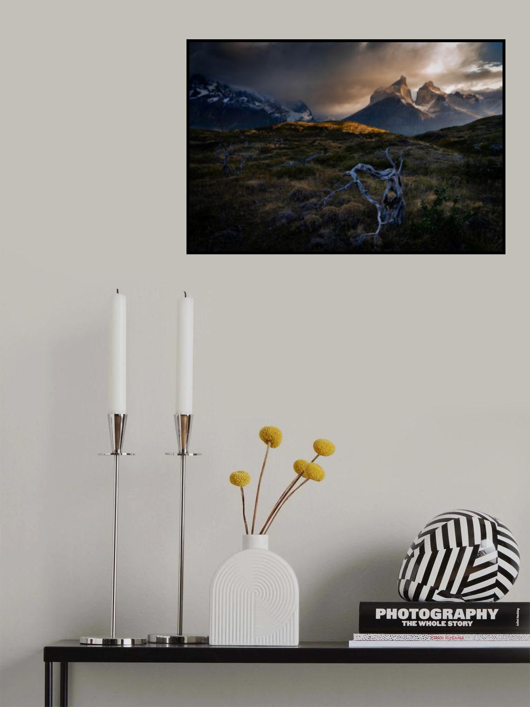 Embrace 2 Poster och Canvastavla