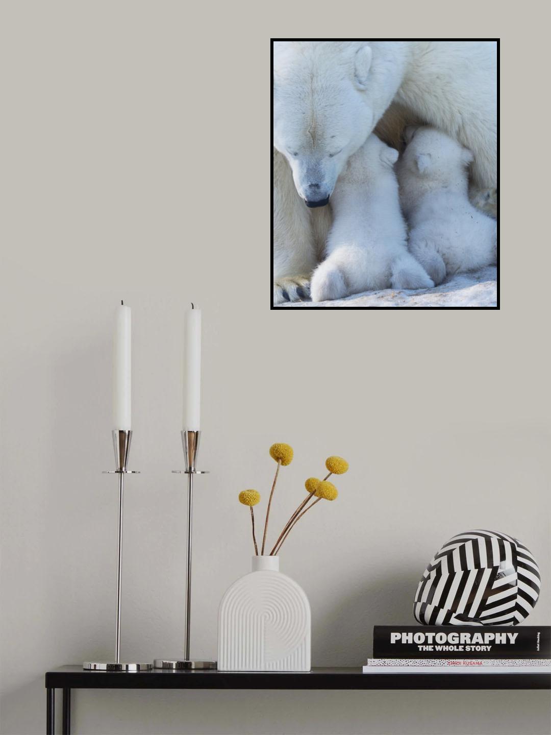Polar bear mom feeding twins cub Poster och Canvastavla