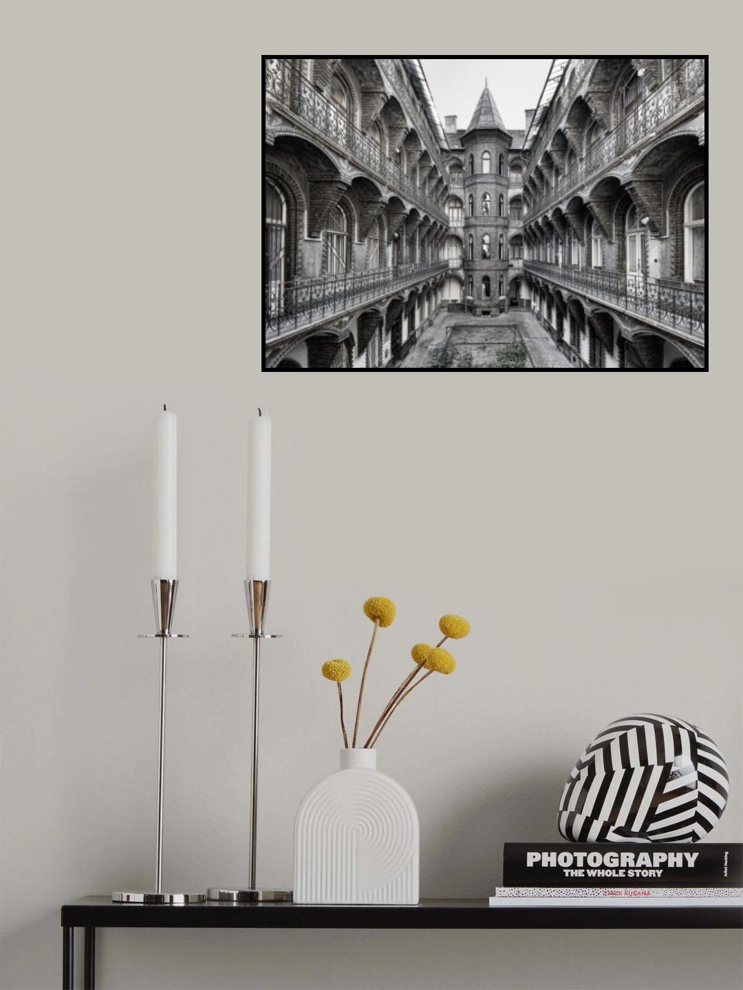 Backyard Poster och Canvastavla