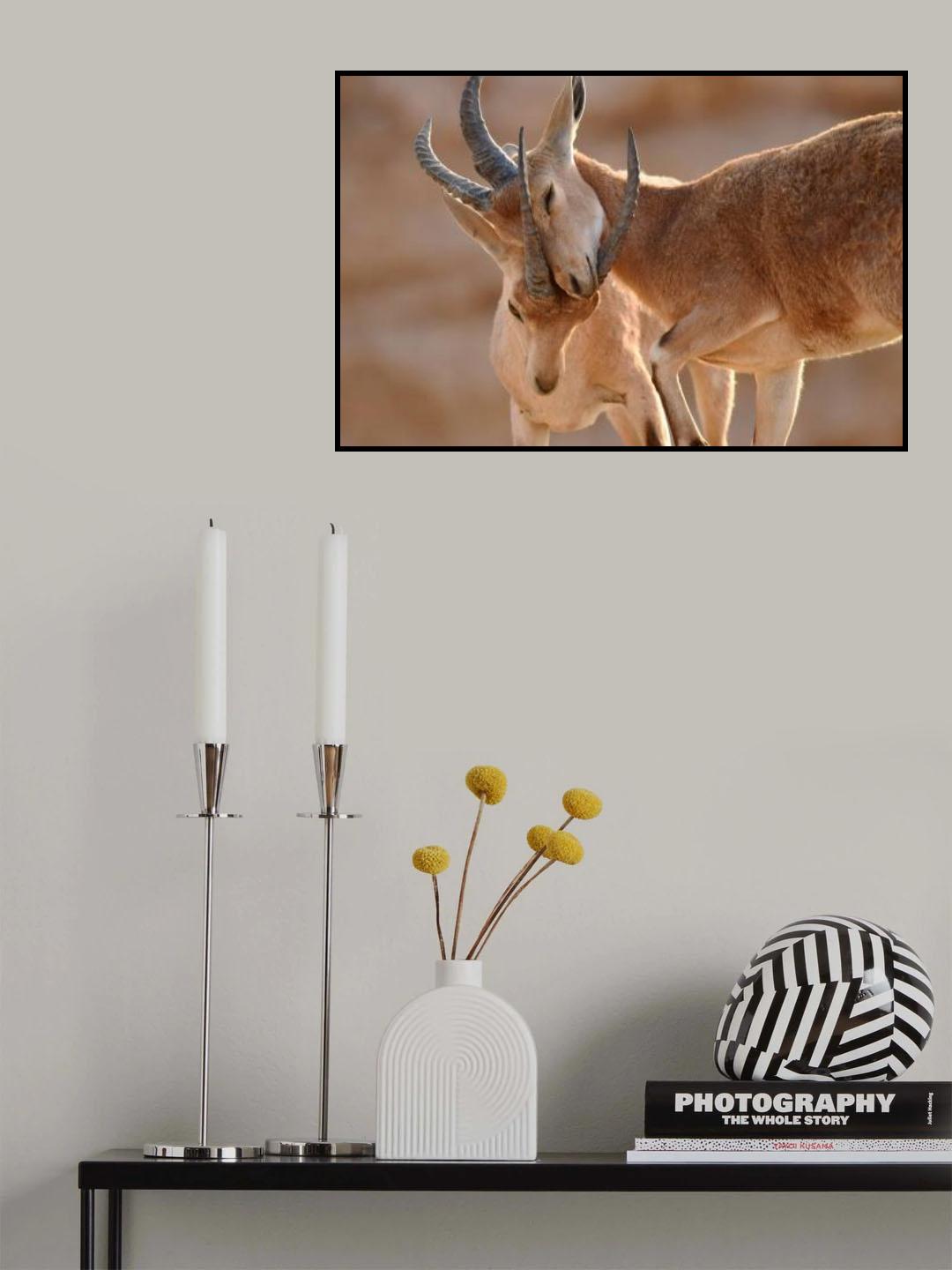 THE TWO OF US Poster och Canvastavla
