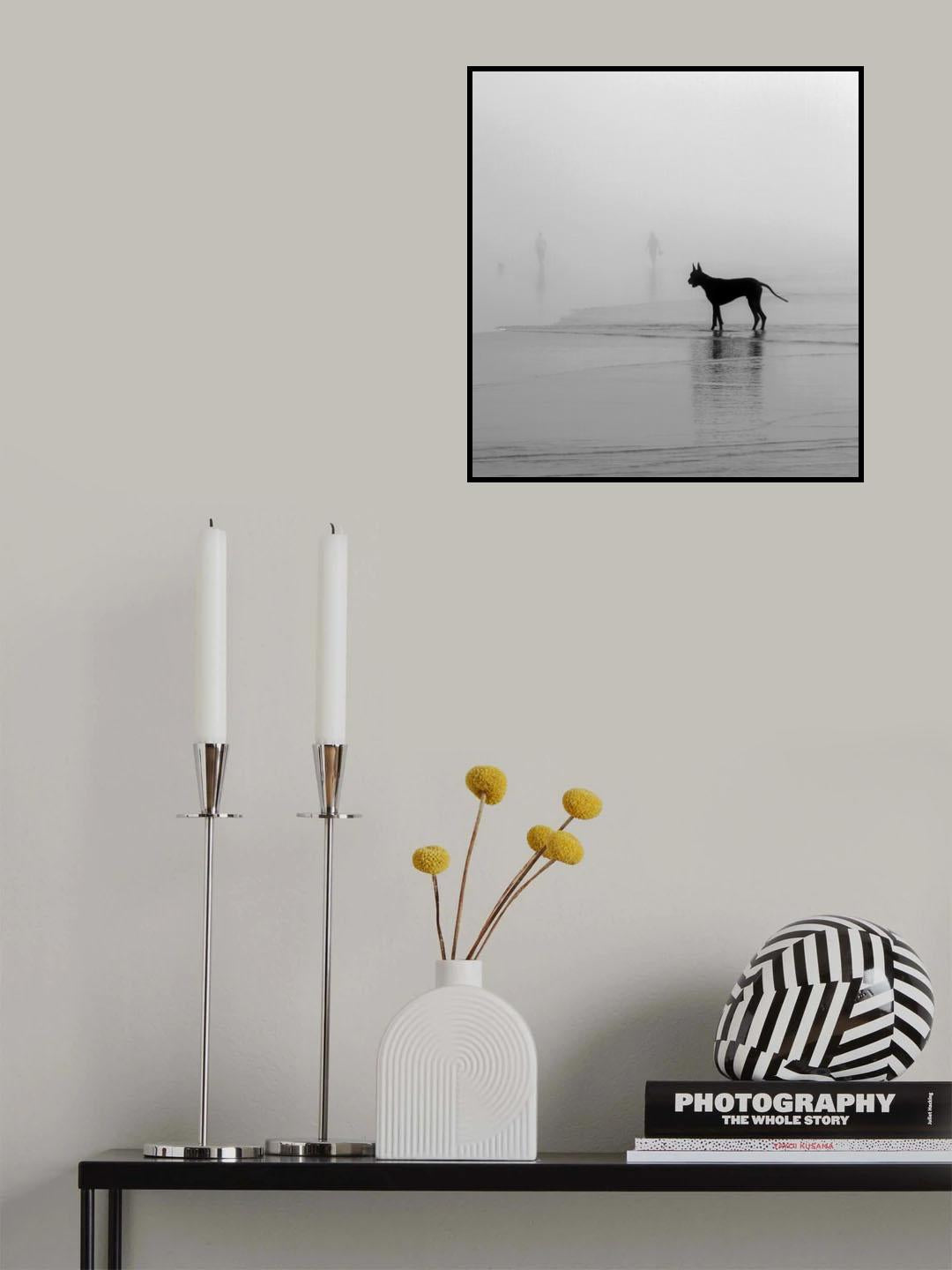 Have you seen my human? Poster och Canvastavla