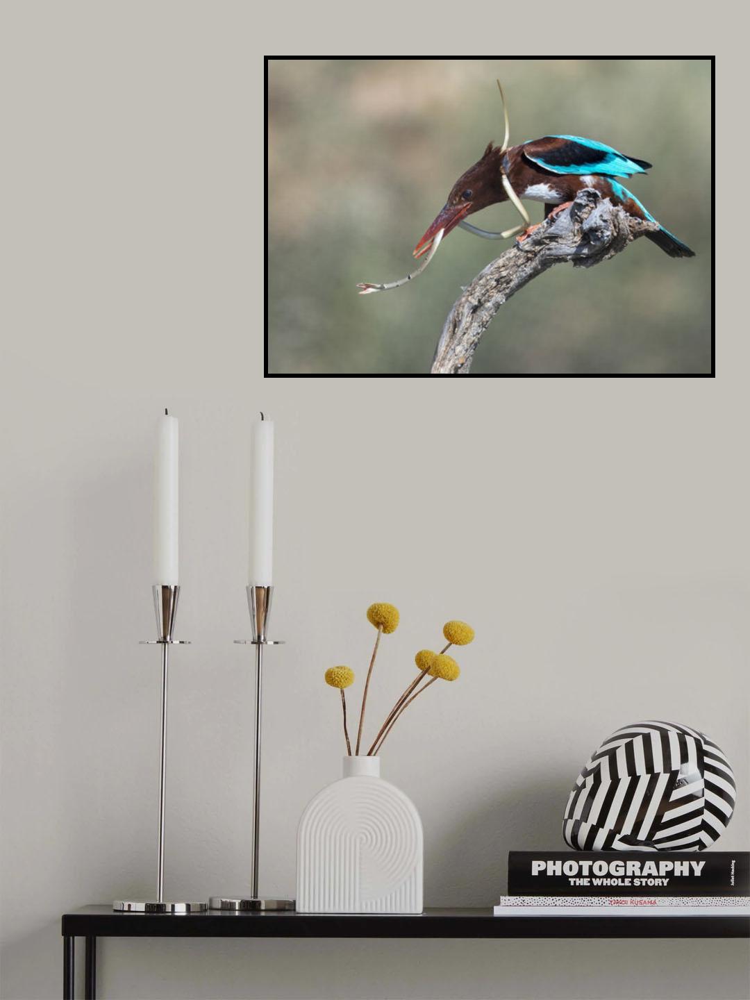 The snake Poster och Canvastavla