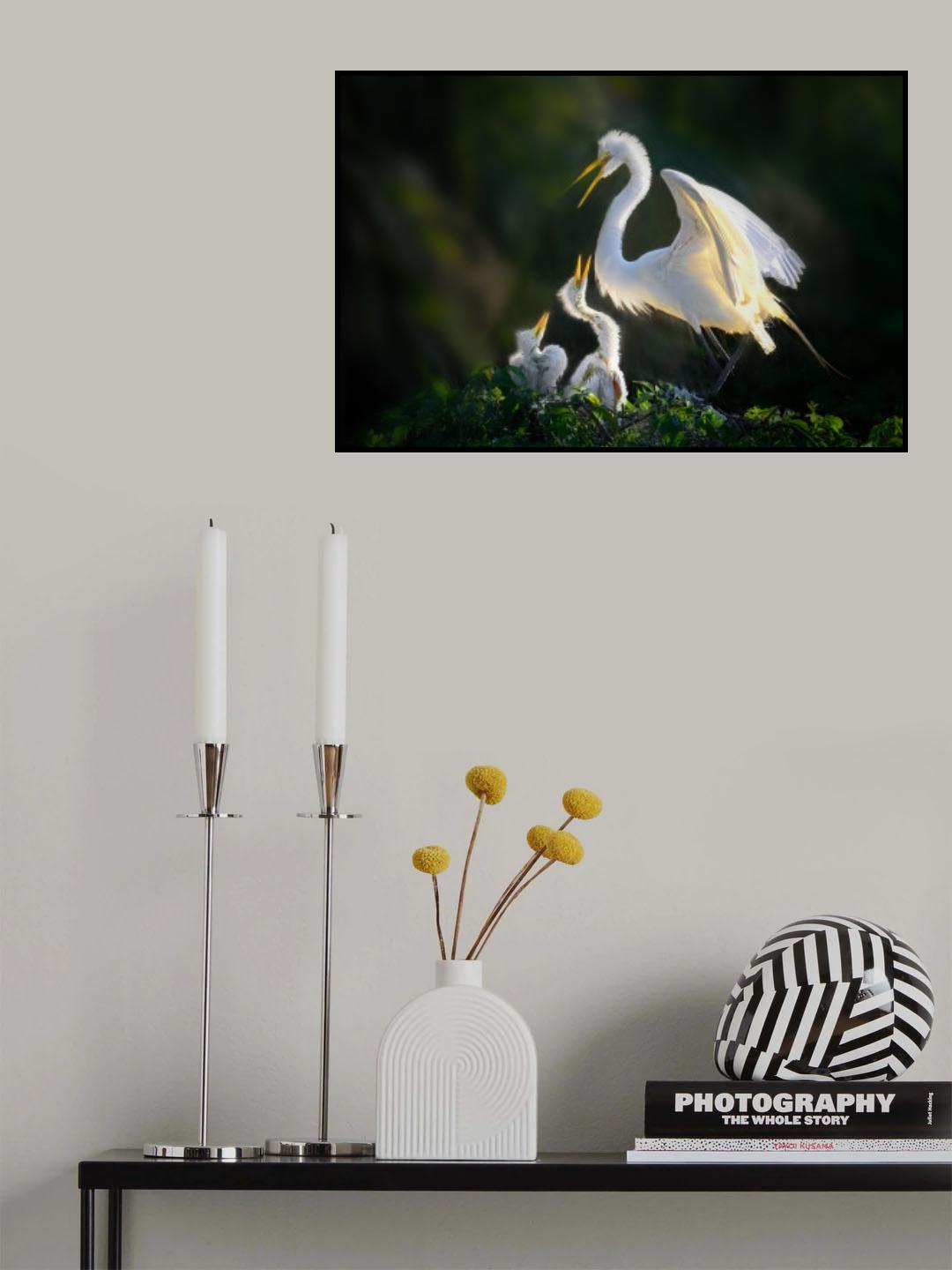 Feeding Time Frenzy Poster och Canvastavla