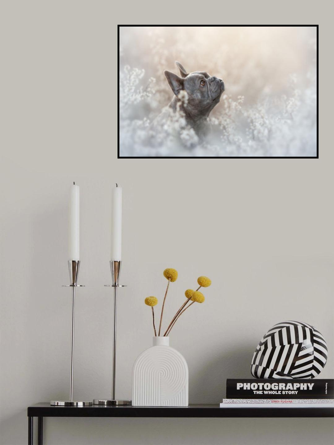 Honey eyes Poster och Canvastavla