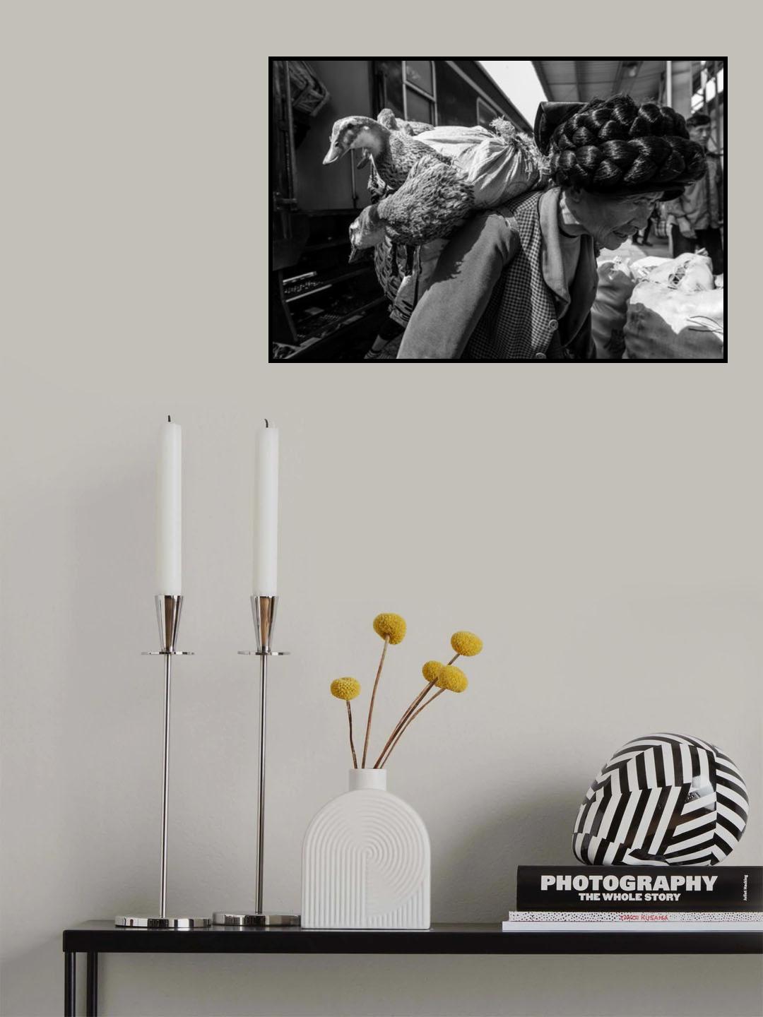 生活 Poster och Canvastavla