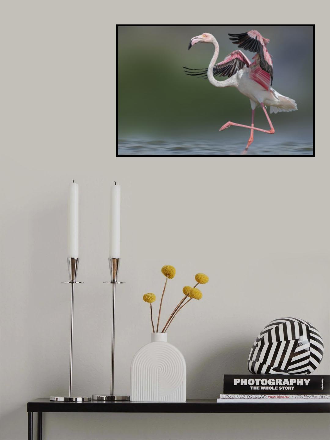 Dancing Flamingo Poster och Canvastavla