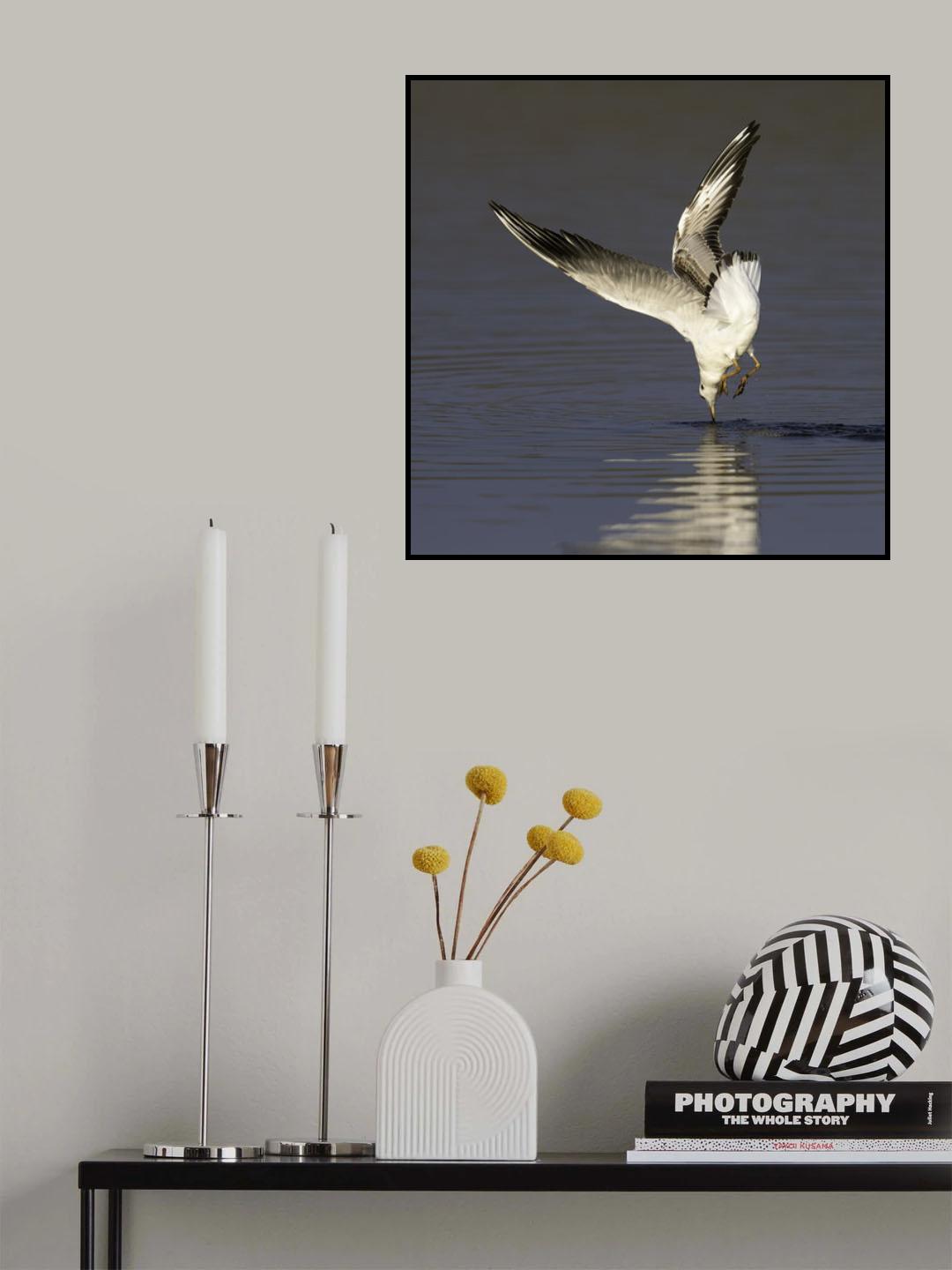 Seagull Poster och Canvastavla