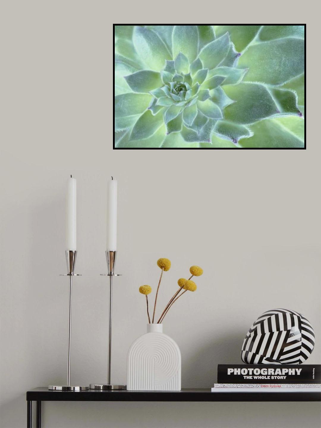Desert Beauty Poster och Canvastavla
