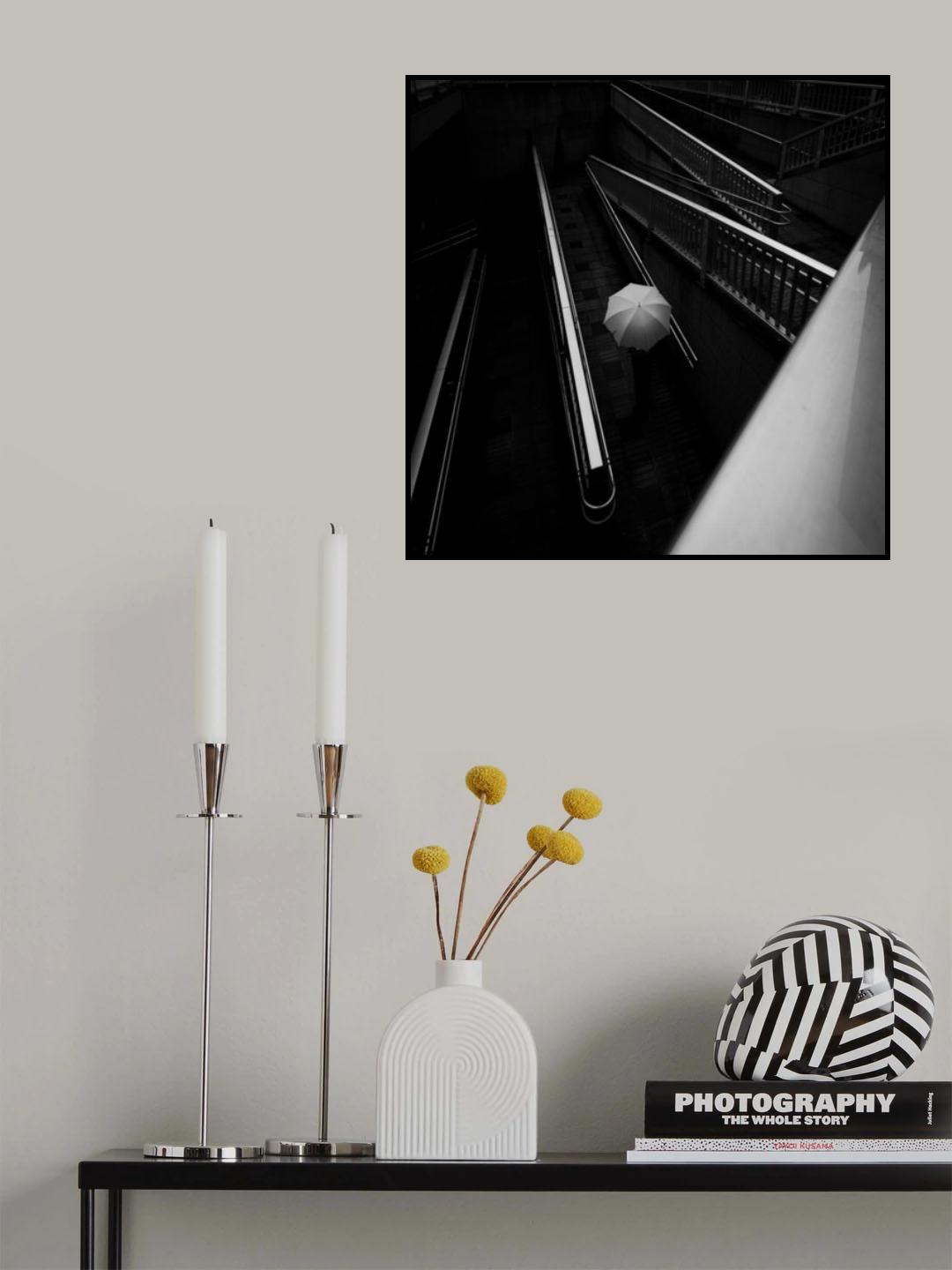 Lines Poster och Canvastavla