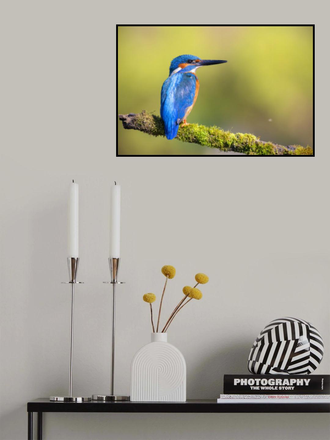 Mr. Fisher, Kingfisher! Poster och Canvastavla