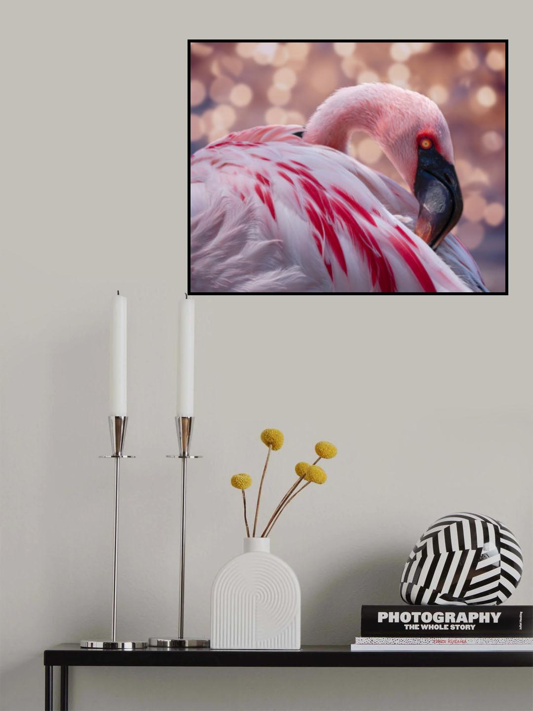 Flamingo at the Zoo Poster och Canvastavla