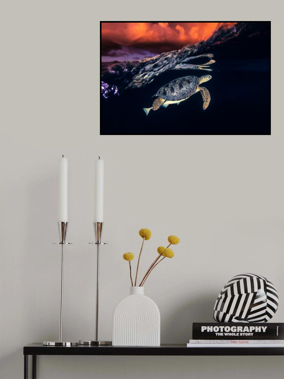 Green turtle and sunset - Sea Turtle Poster och Canvastavla