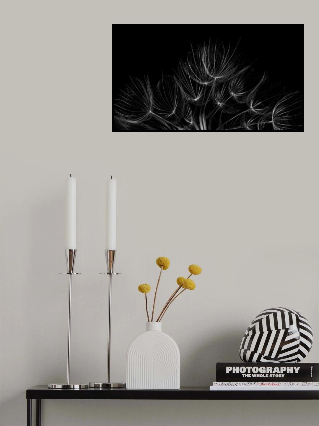Salsify 2 Poster och Canvastavla