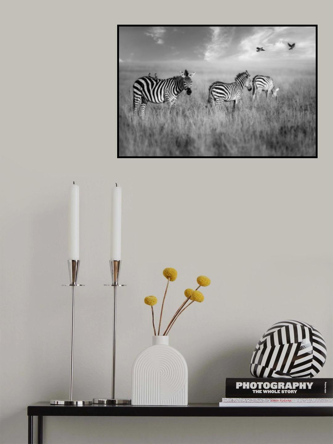 Morning grazing Poster och Canvastavla