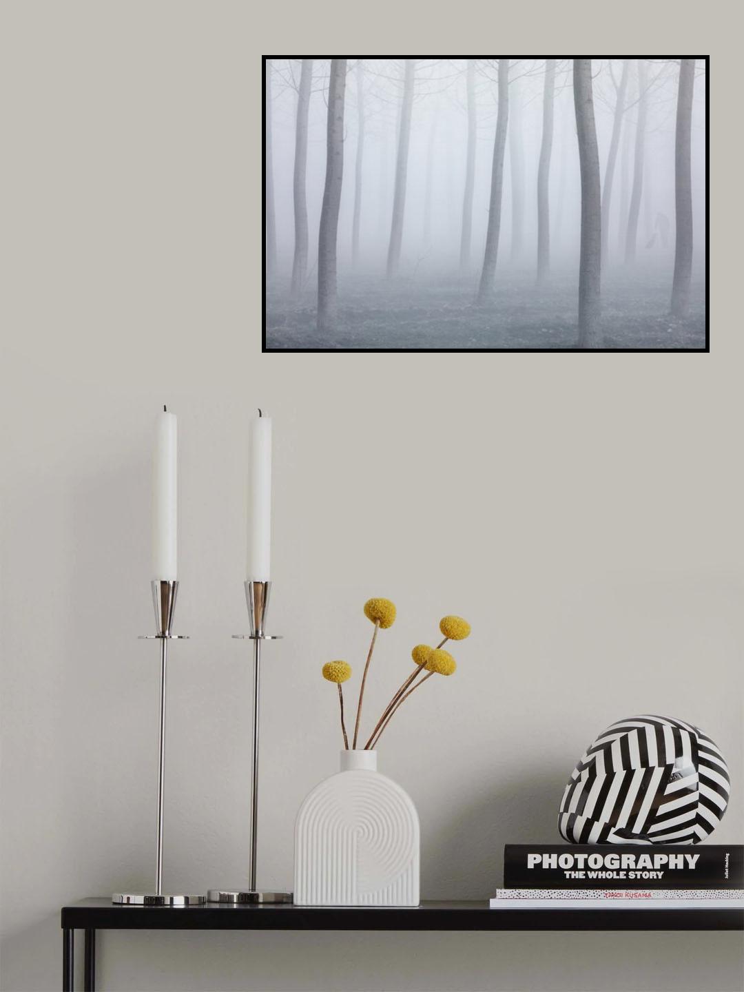 Into the fog Poster och Canvastavla