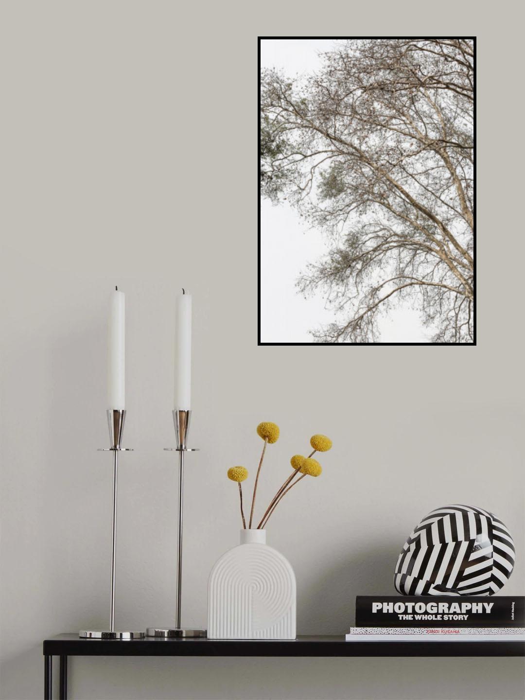 Plain Tree Poster och Canvastavla