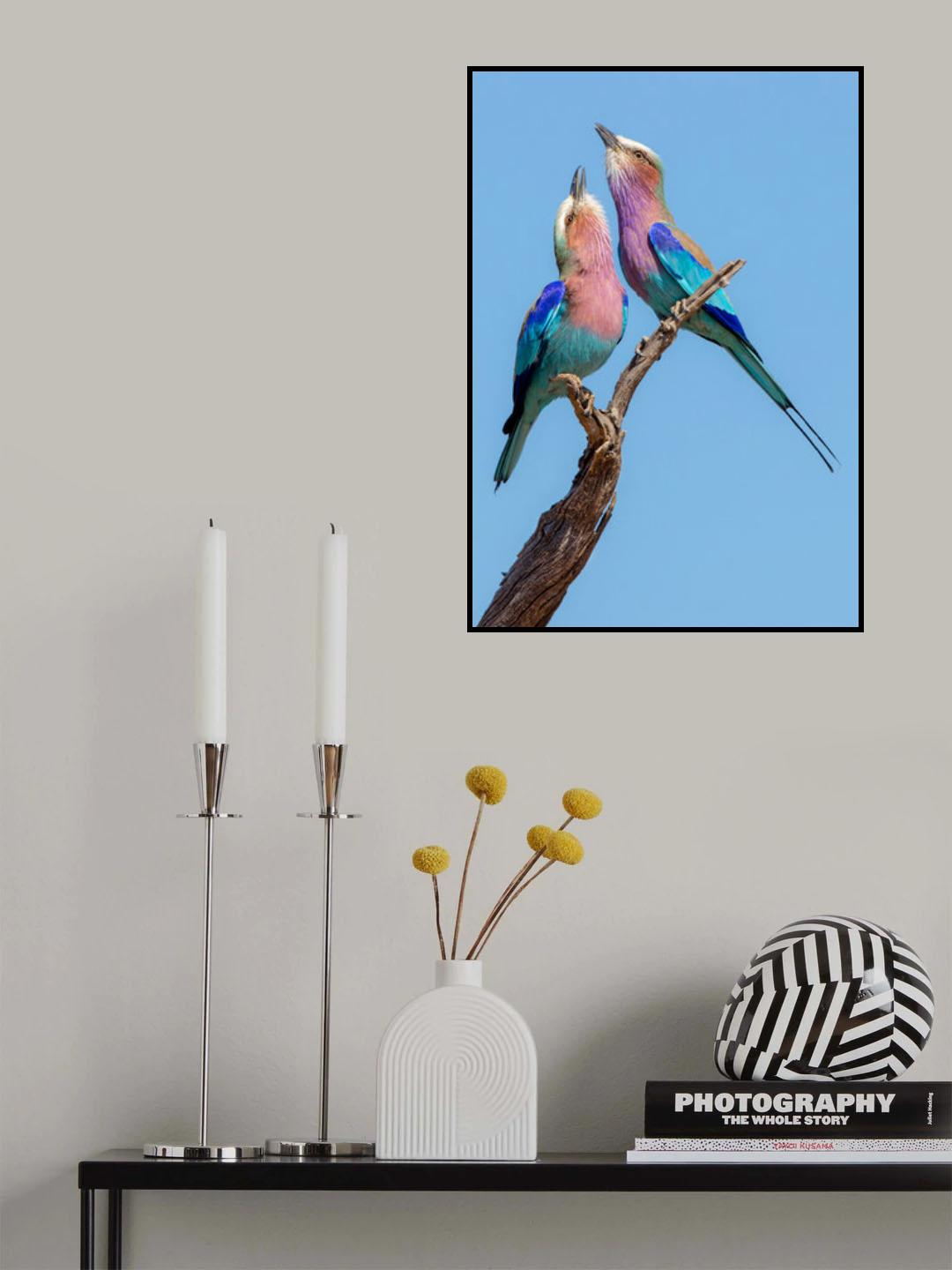 Flirting Rollers Poster och Canvastavla
