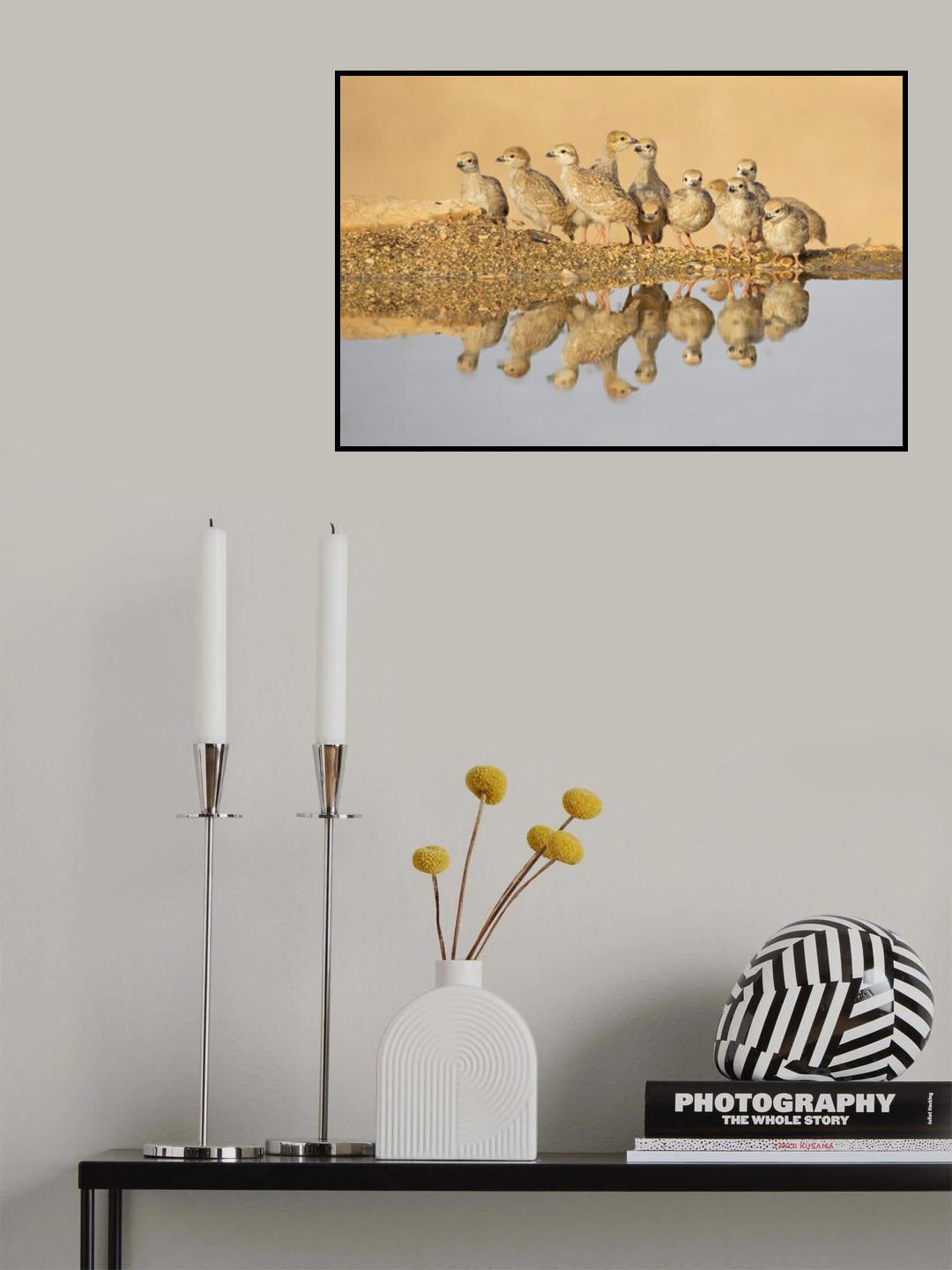 Chukar , Juveniles Poster och Canvastavla