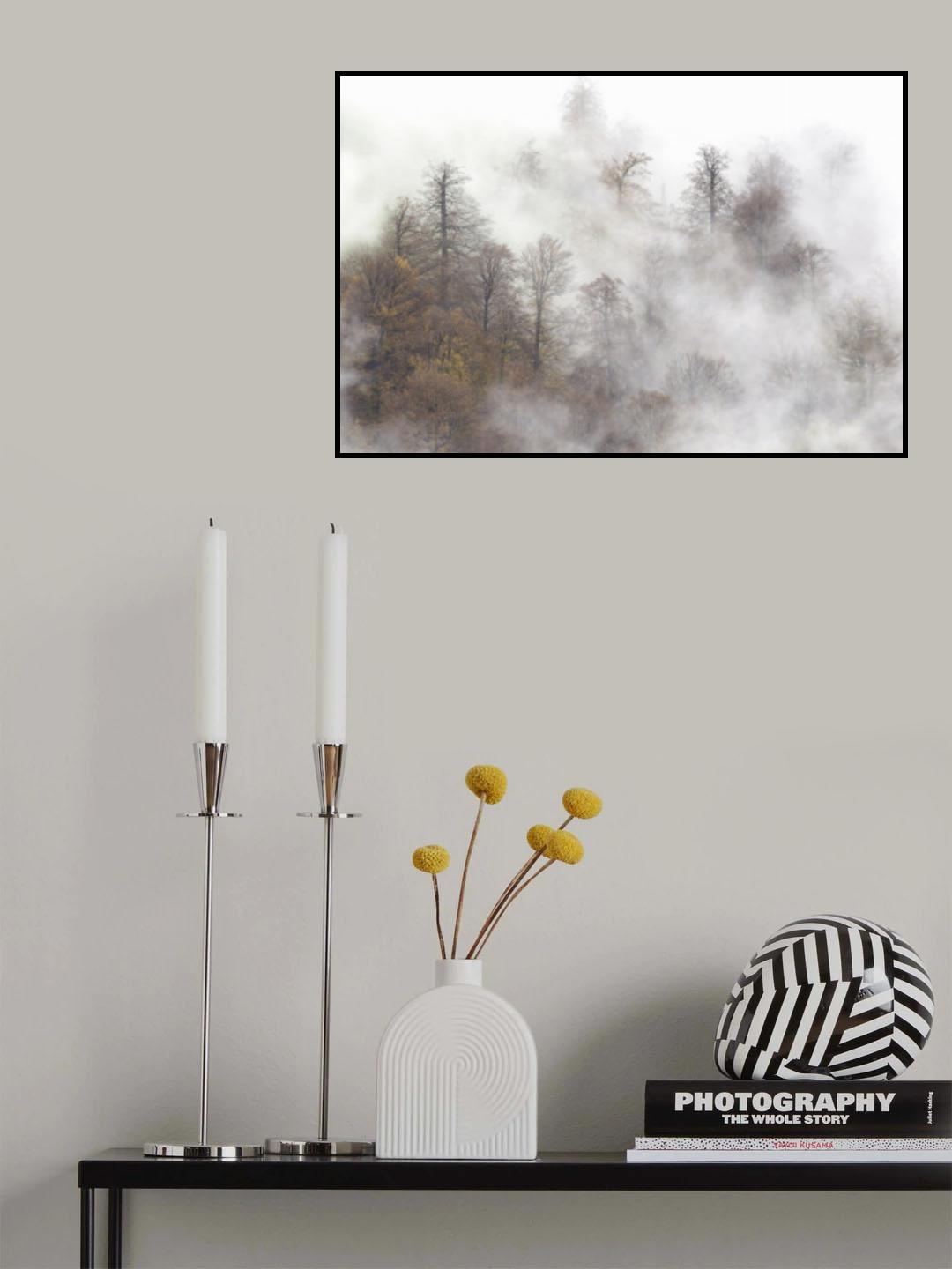 Misty forest Poster och Canvastavla