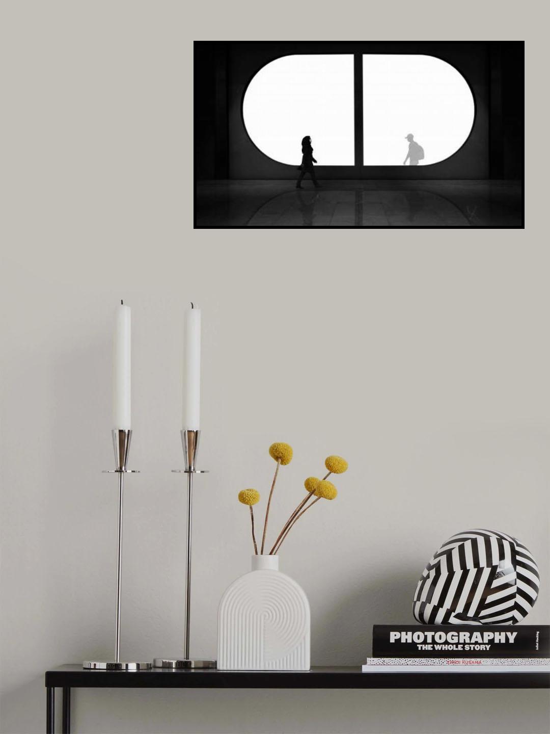 the visible and invisible Poster och Canvastavla