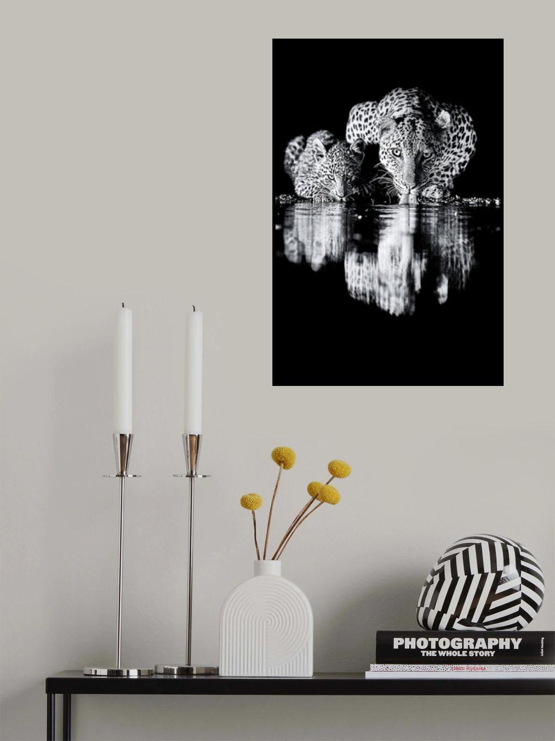 Poster och Canvastavla