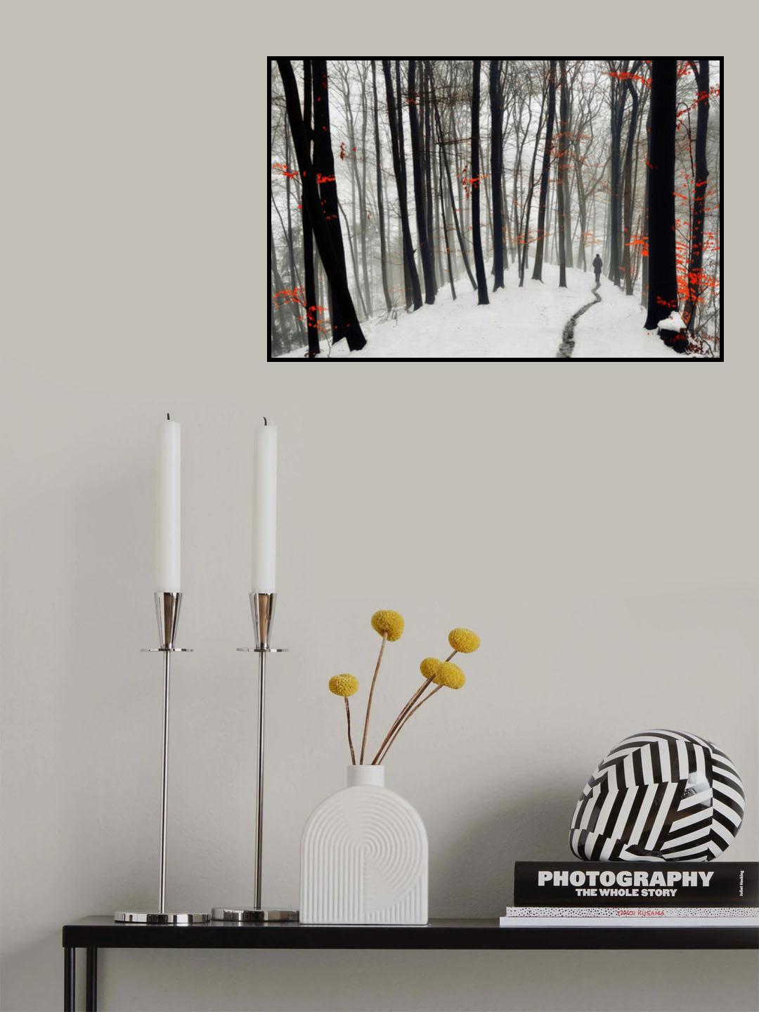 Through autumn and winter Poster och Canvastavla