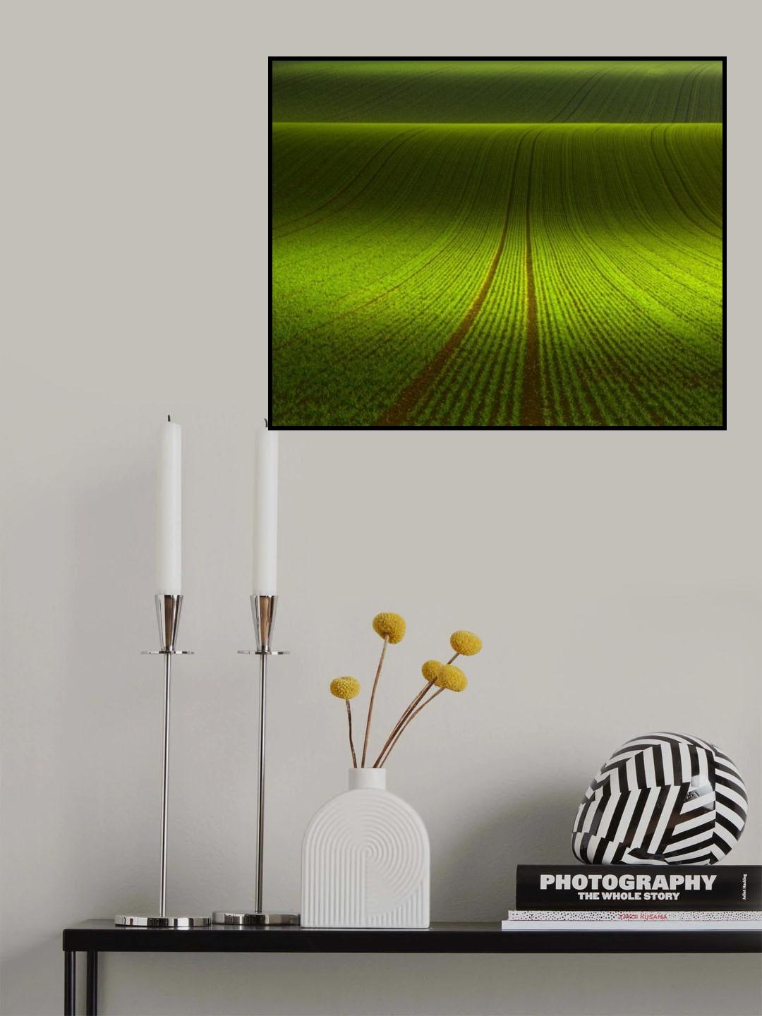 November Green Poster och Canvastavla