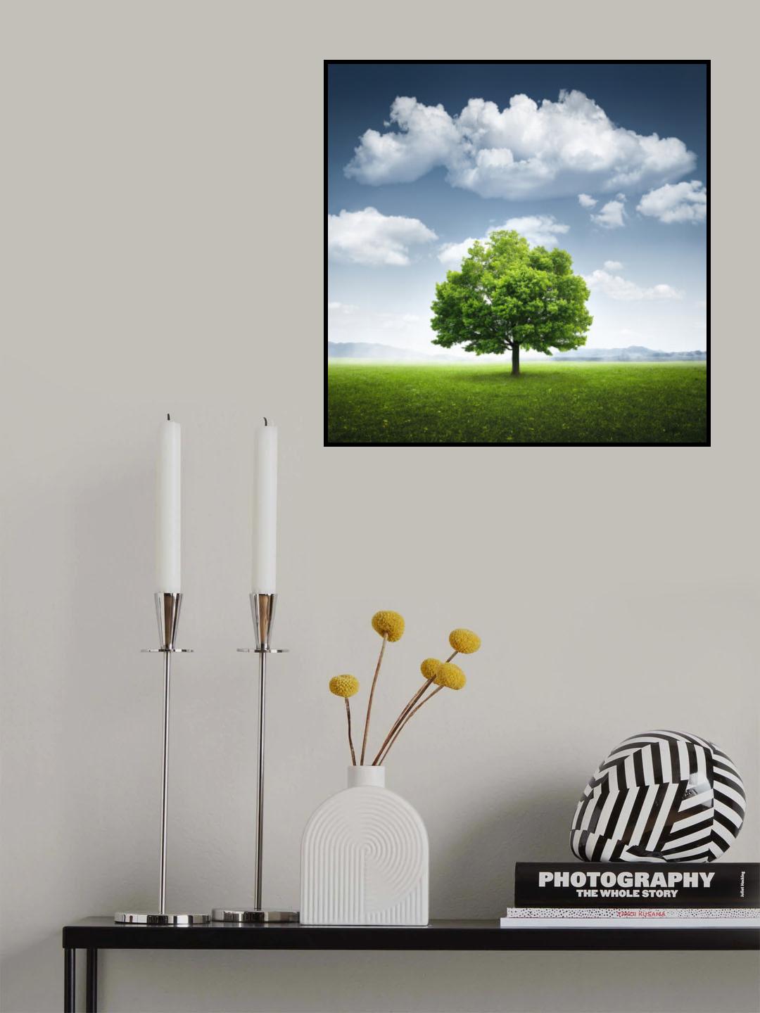 Lone tree Poster och Canvastavla