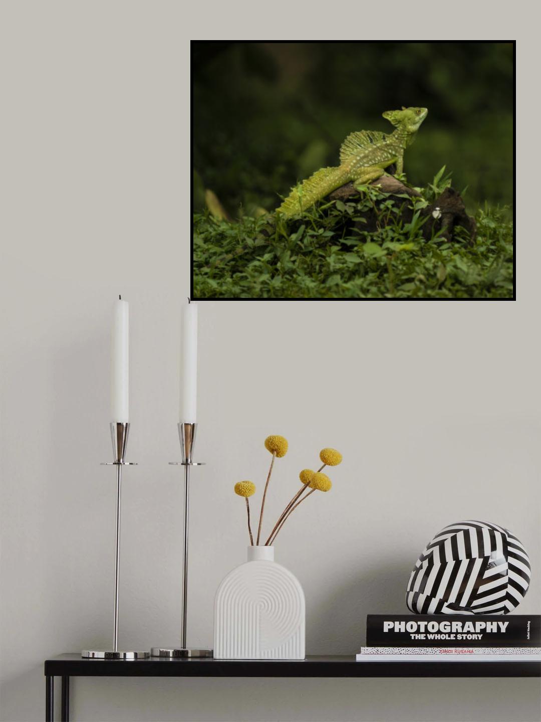 Basiliscus Lizard Poster och Canvastavla