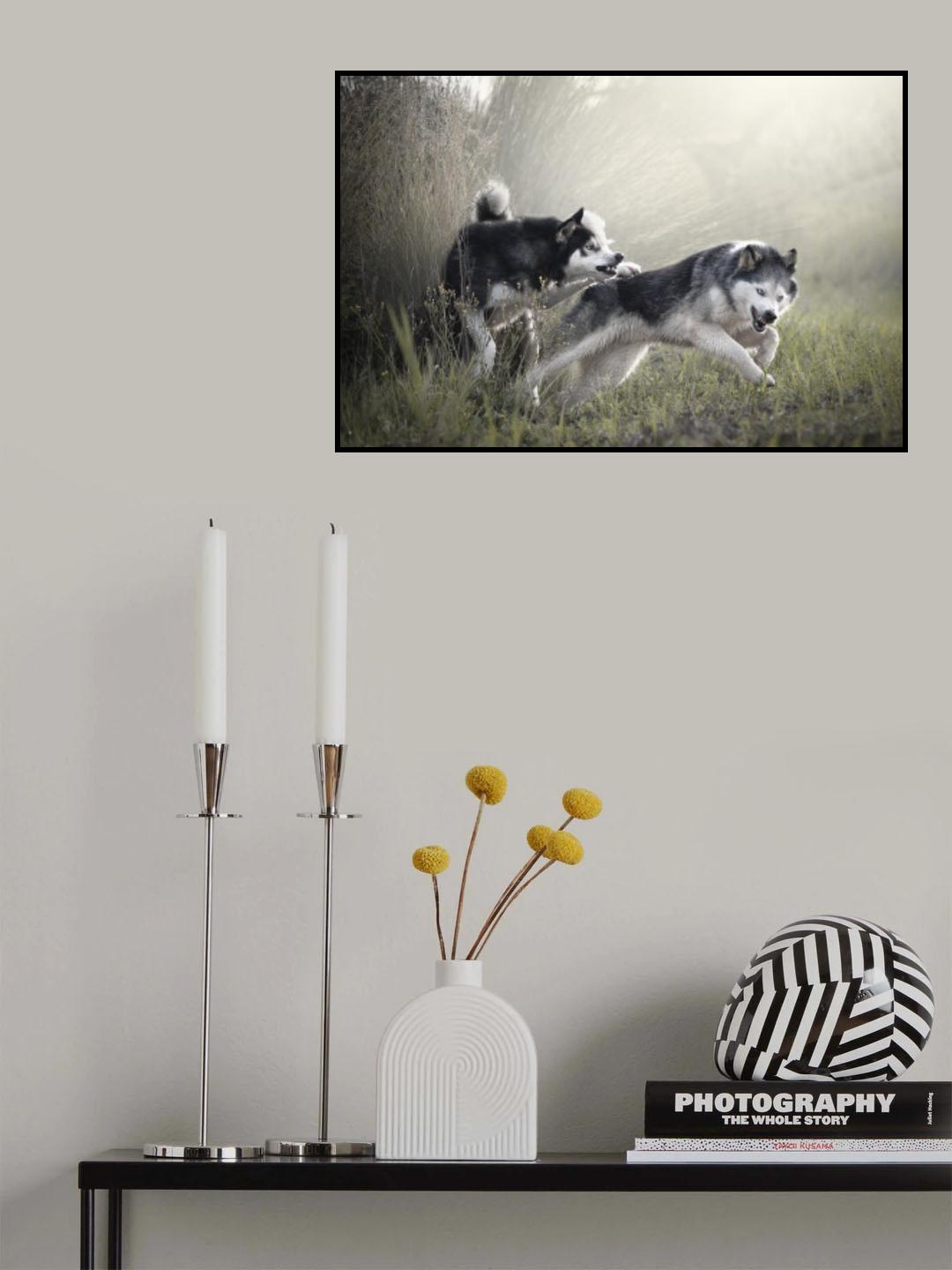 Freedom Poster och Canvastavla