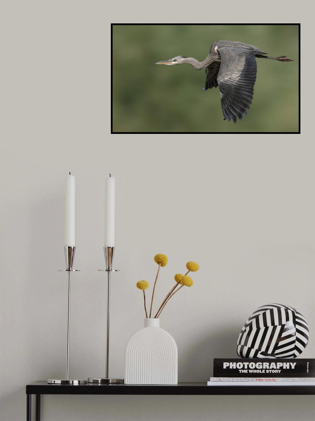 In search of hope Poster och Canvastavla