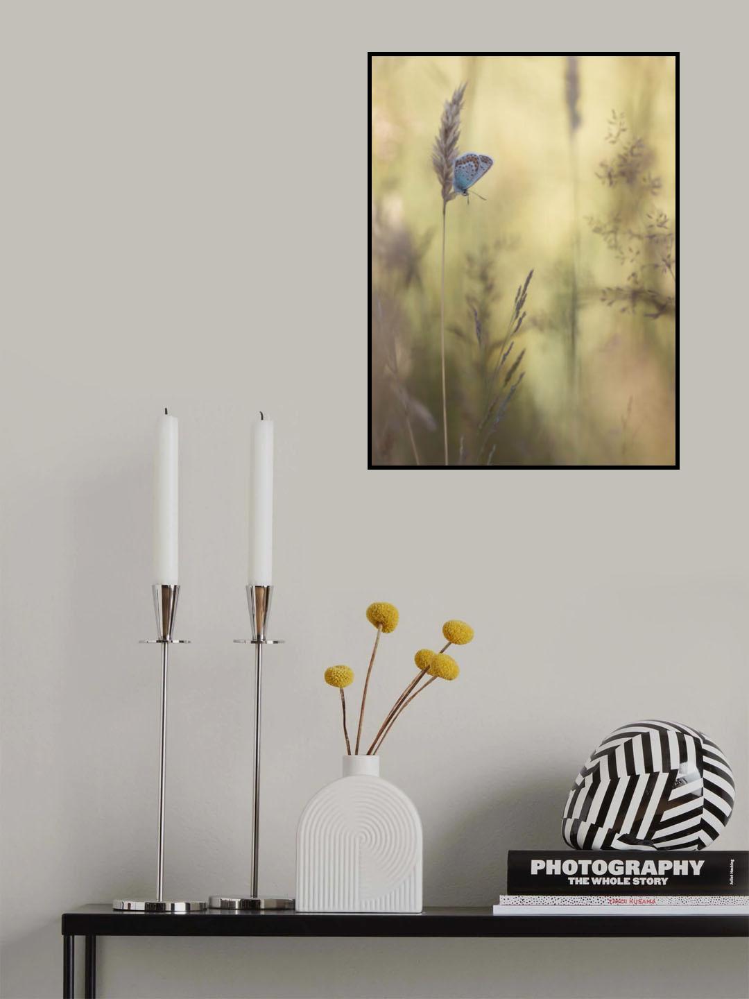 Colorful Poster och Canvastavla