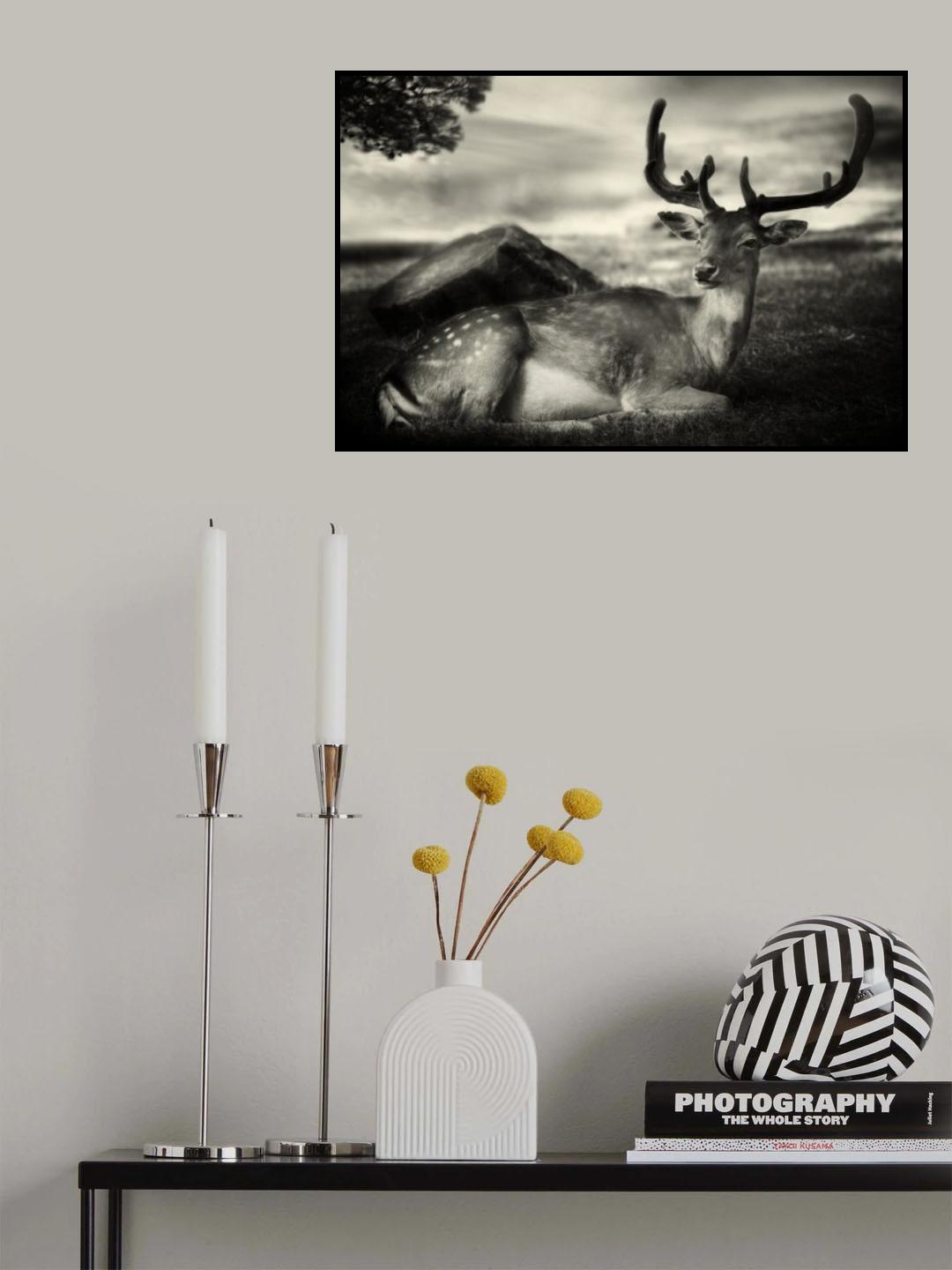 Resting Bambi Poster och Canvastavla