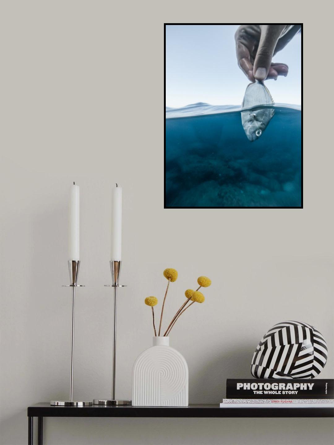 Life and death Poster och Canvastavla