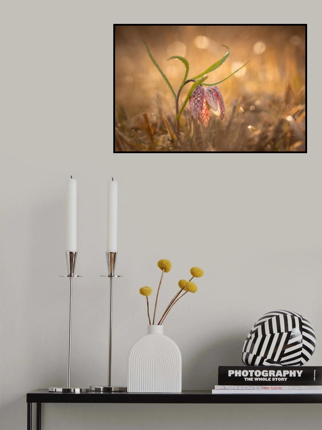 Swamp tulip Poster och Canvastavla