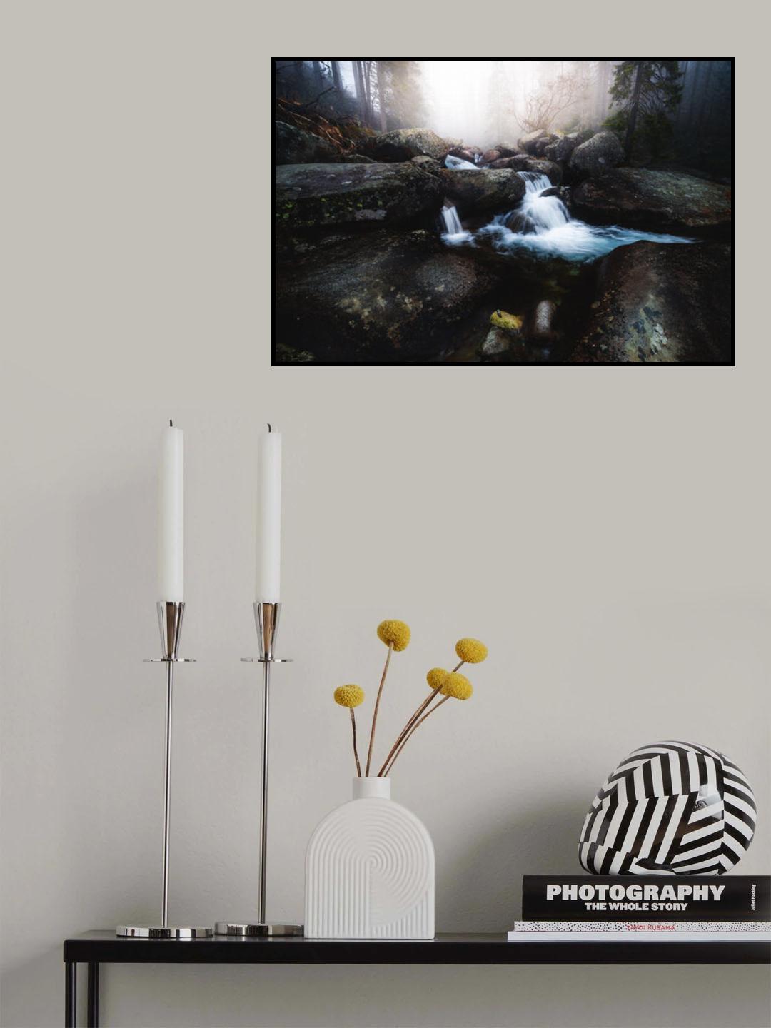 Forest stream - High Tatras Poster och Canvastavla