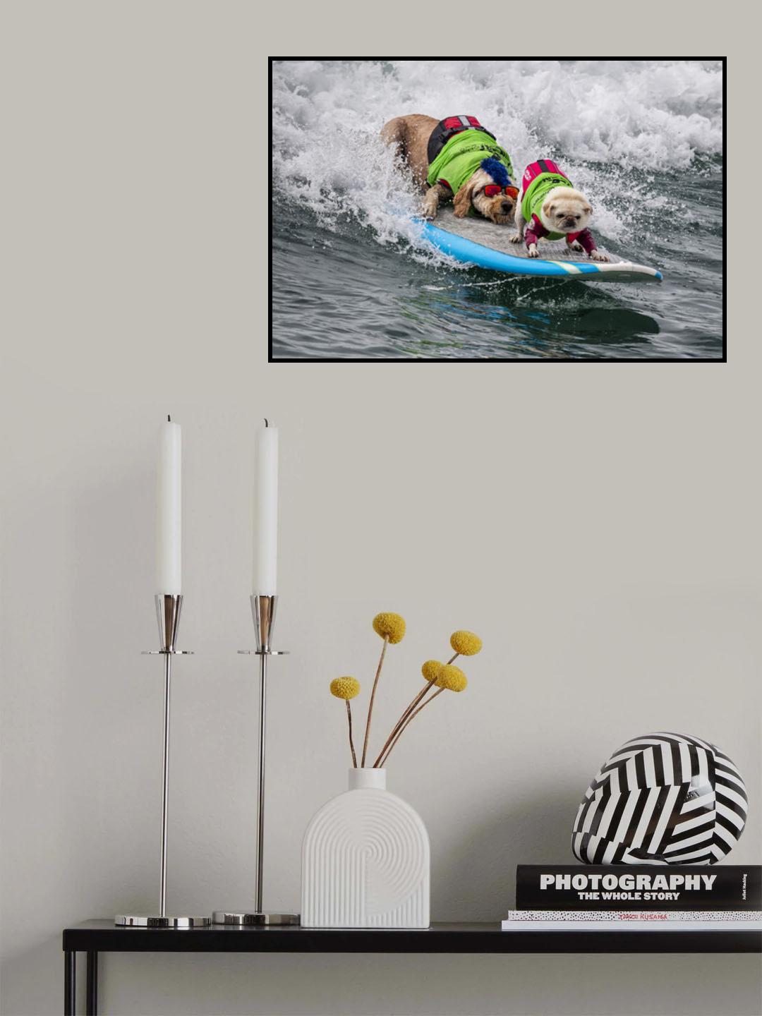 Big Chicken, Little Daredevil Poster och Canvastavla