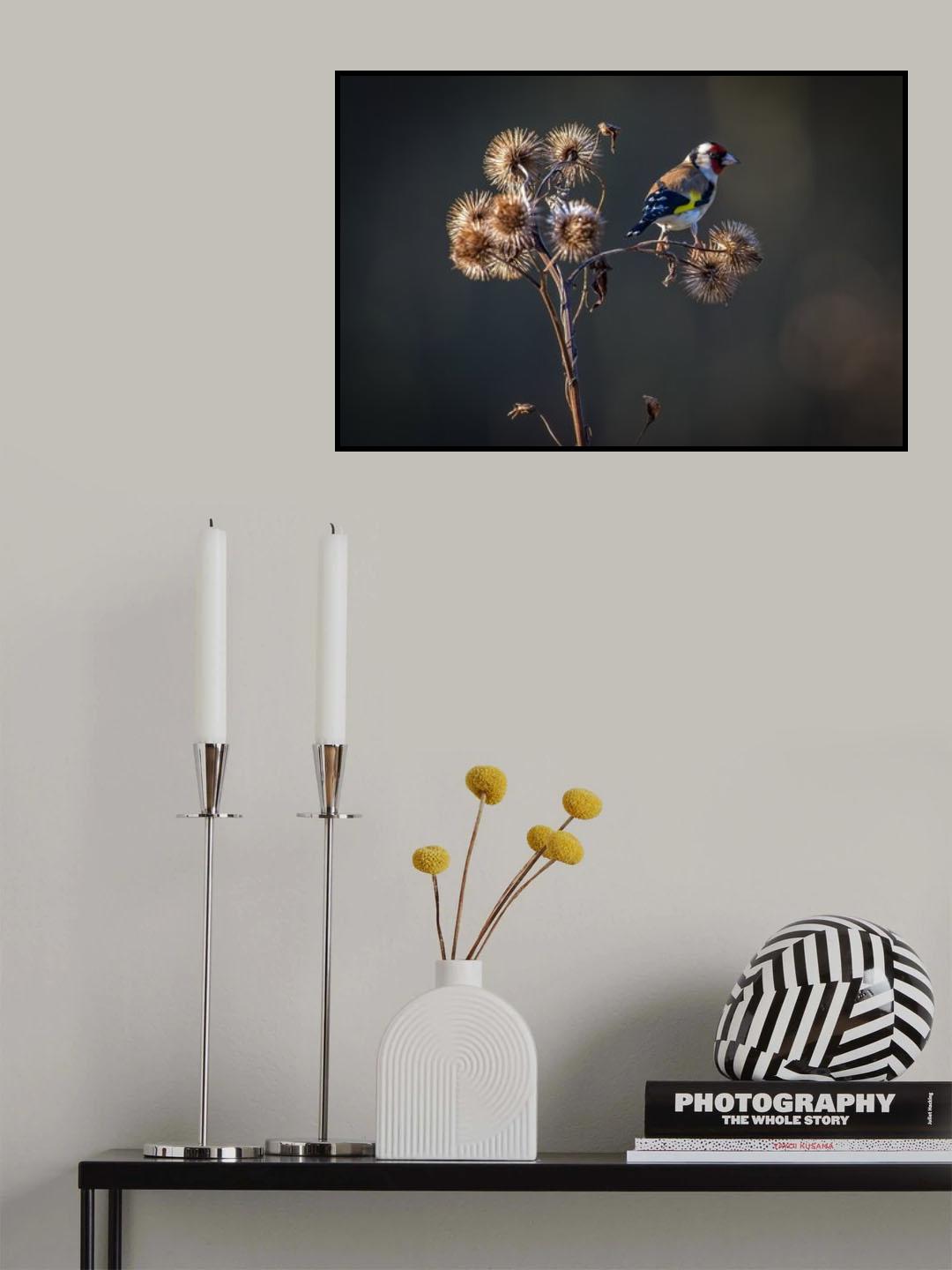 Goldfinch Poster och Canvastavla