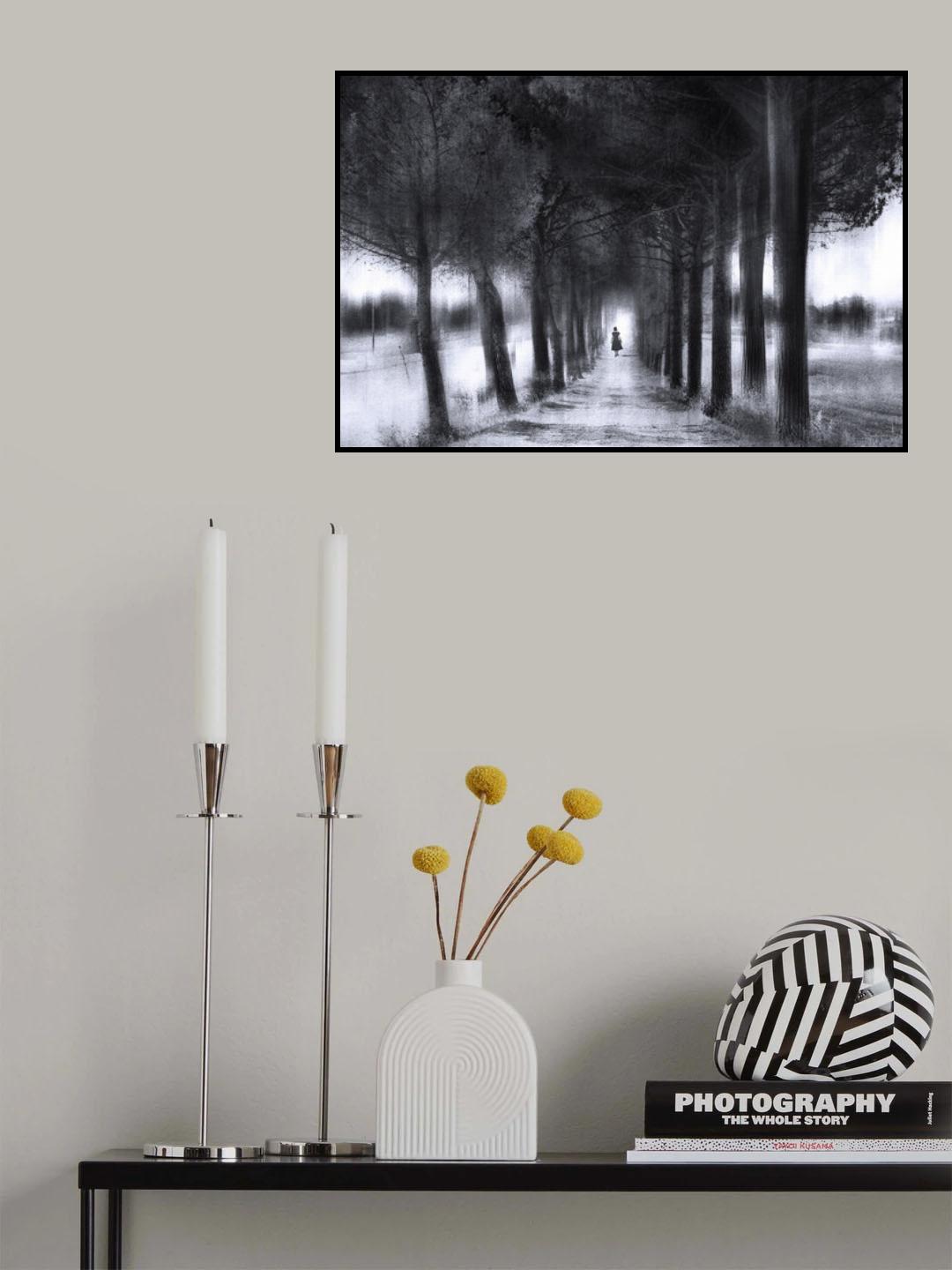 Light through the trees Poster och Canvastavla