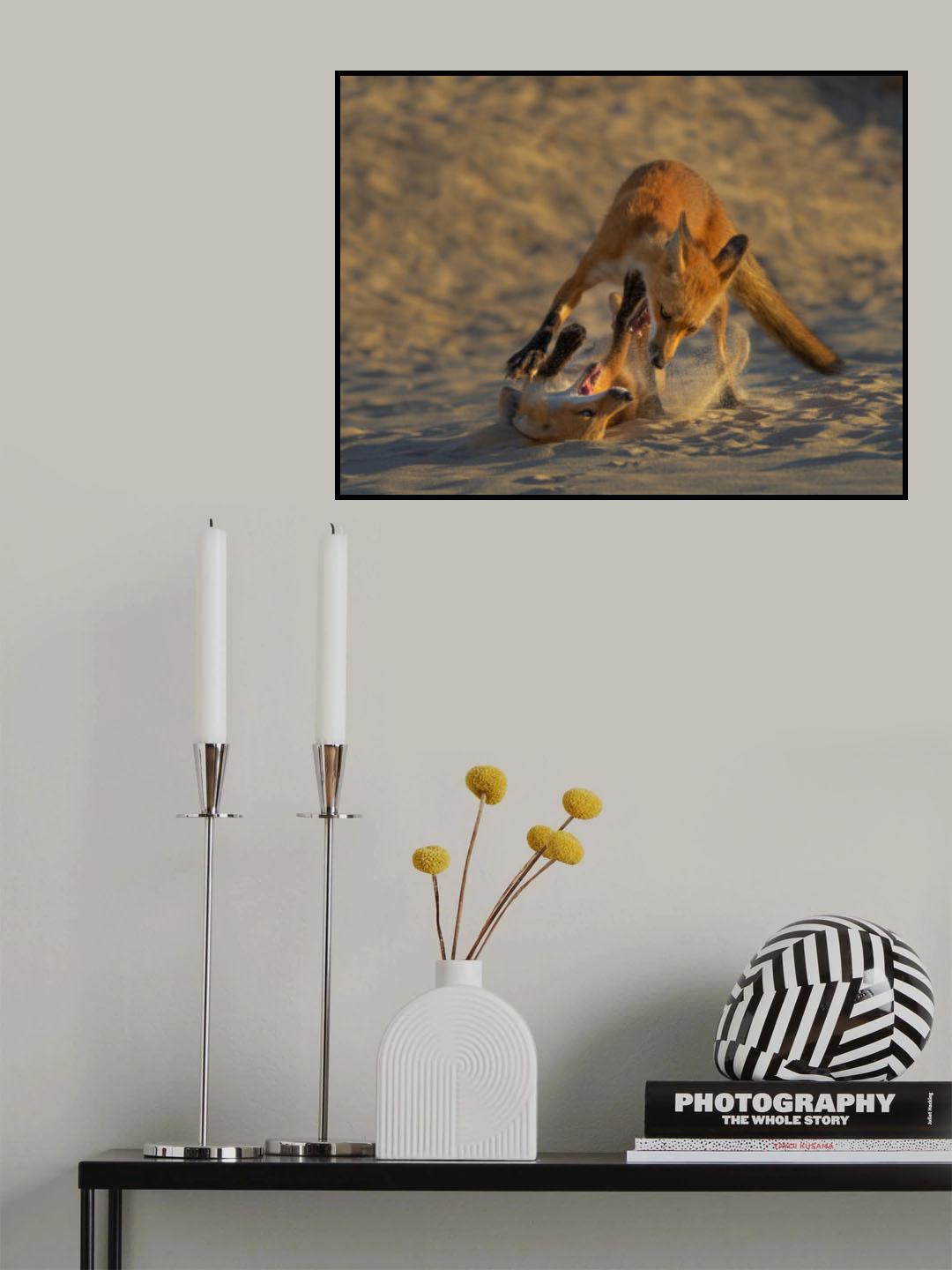 Sand Fox Fun Poster och Canvastavla