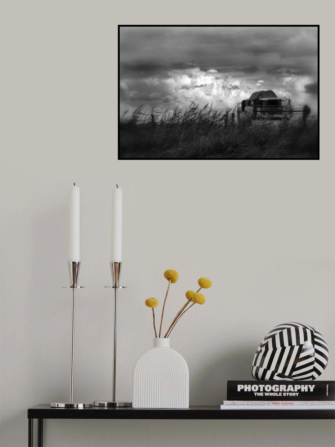 Harvest mood ... Poster och Canvastavla