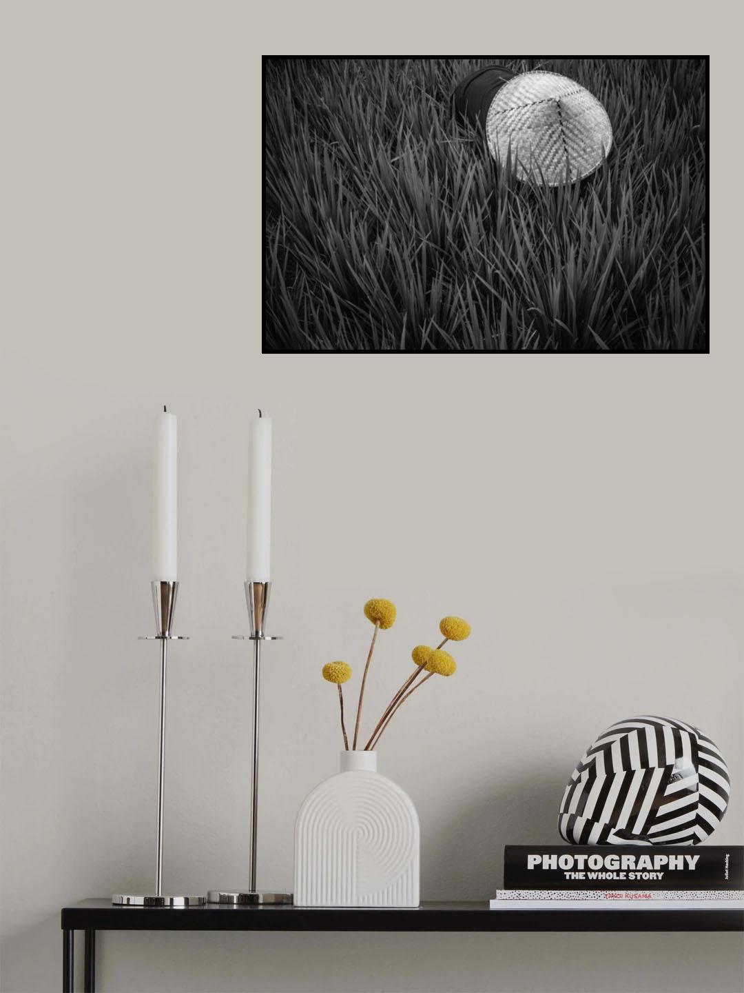 rice fields in bw Poster och Canvastavla