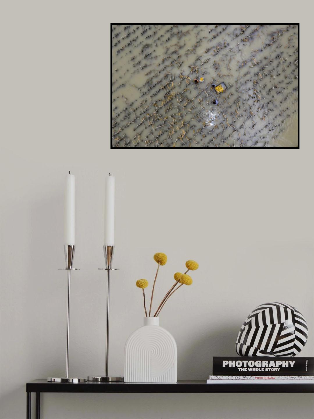 Harvesting corn into the flood water Poster och Canvastavla