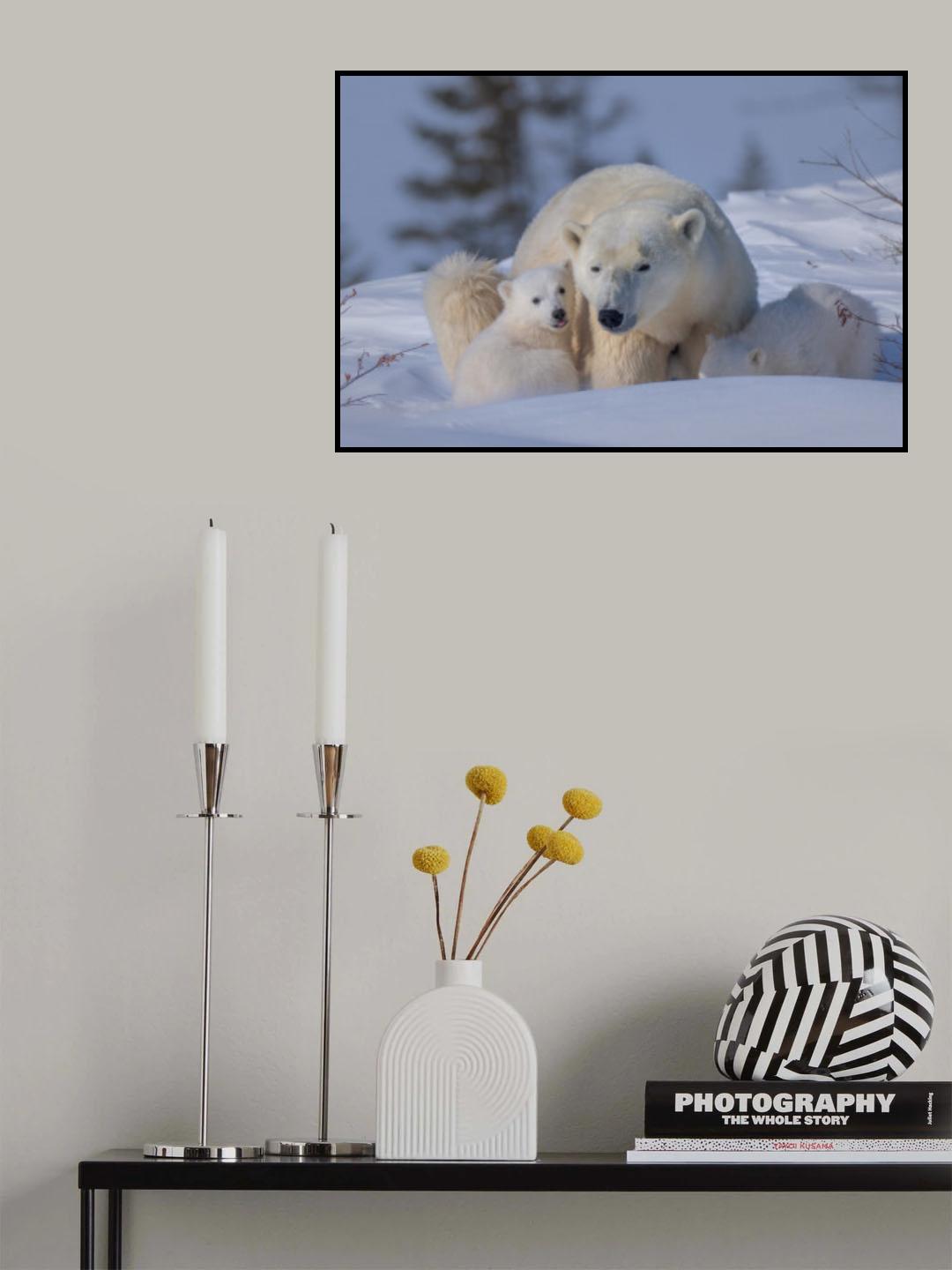 Mum and Cubs Poster och Canvastavla