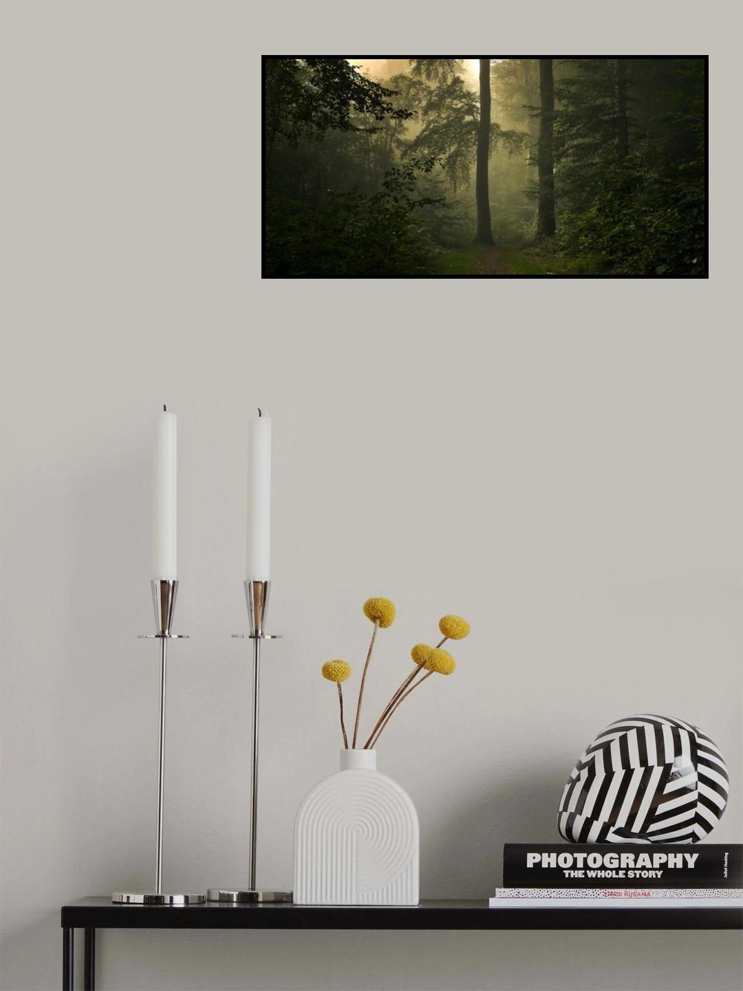 The Entrance. Poster och Canvastavla