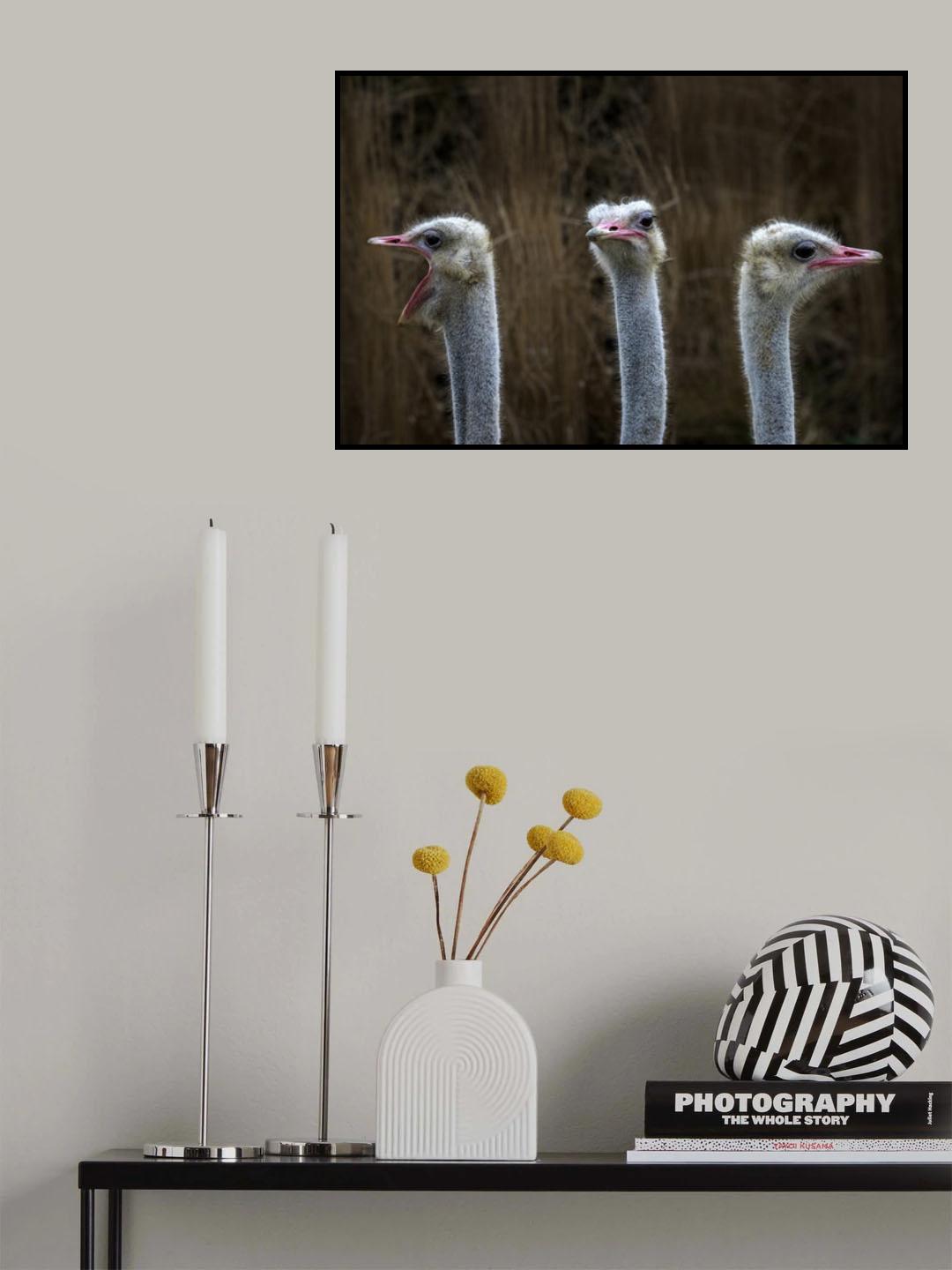 Chorale Poster och Canvastavla