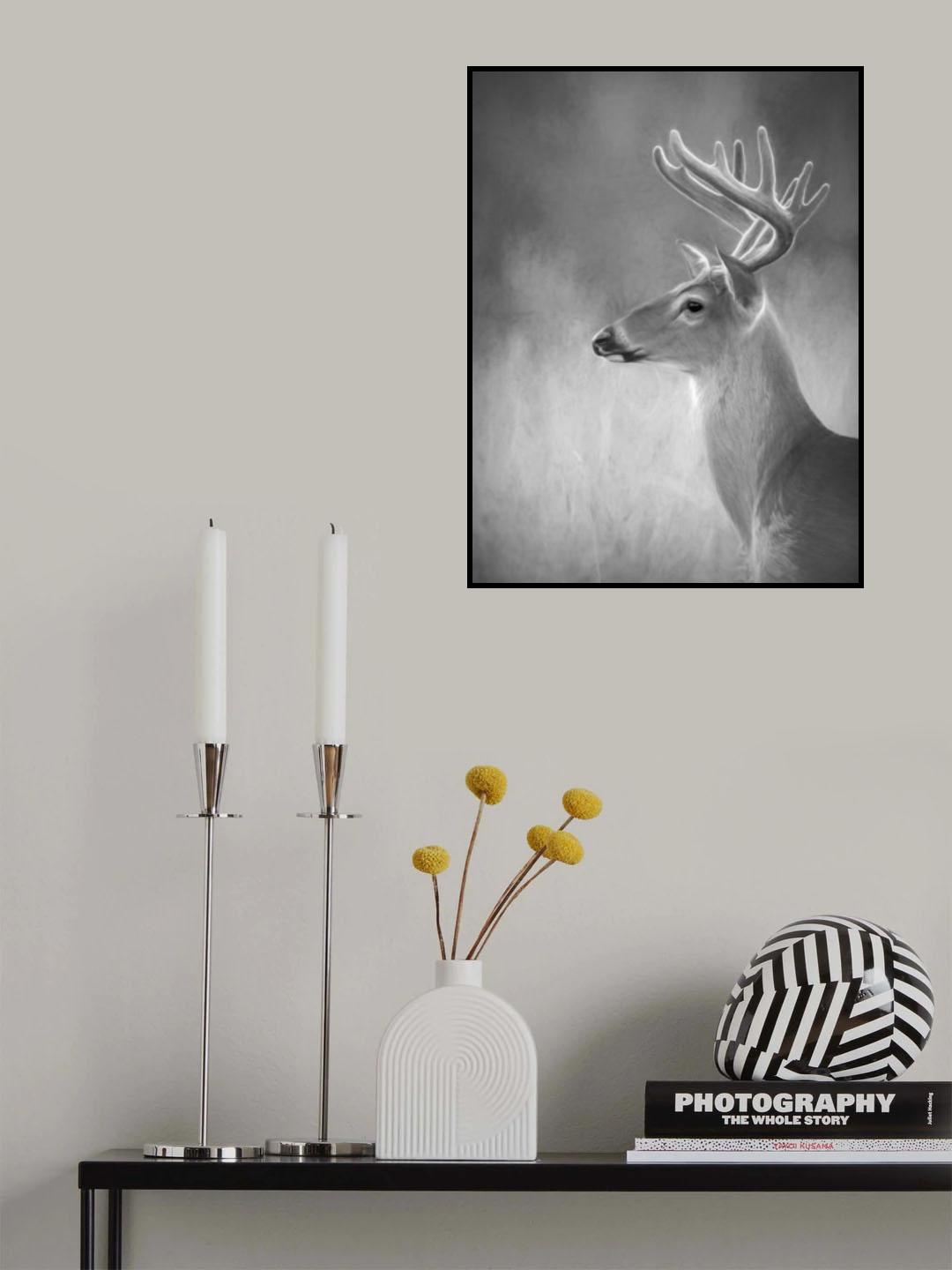 White-tailed Buck Poster och Canvastavla