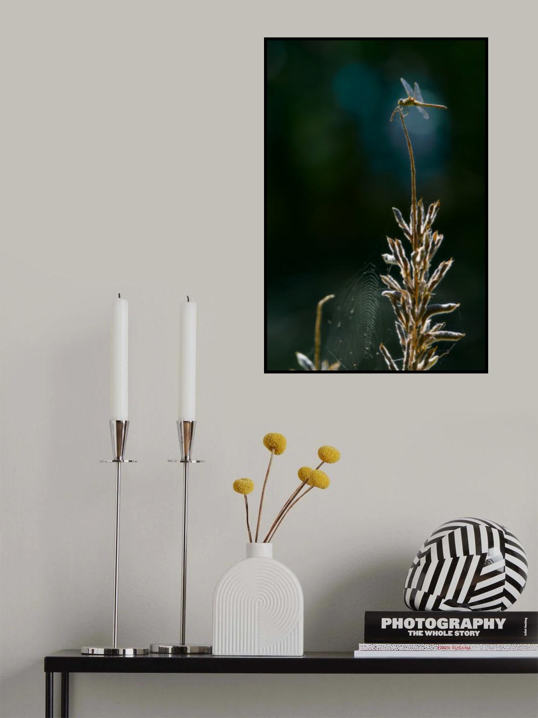 Autumn impressions Poster och Canvastavla