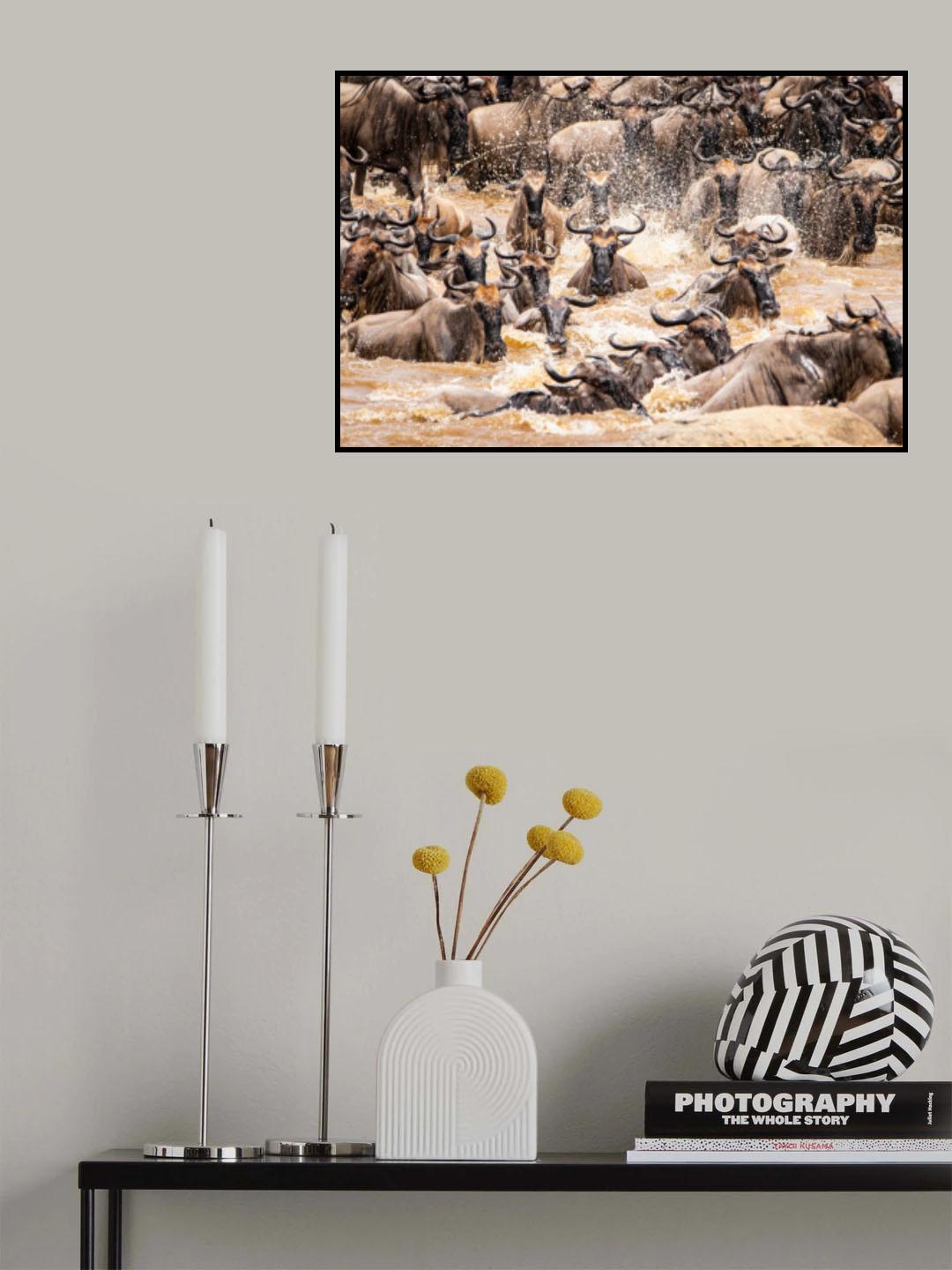 Crossing Chaos Poster och Canvastavla