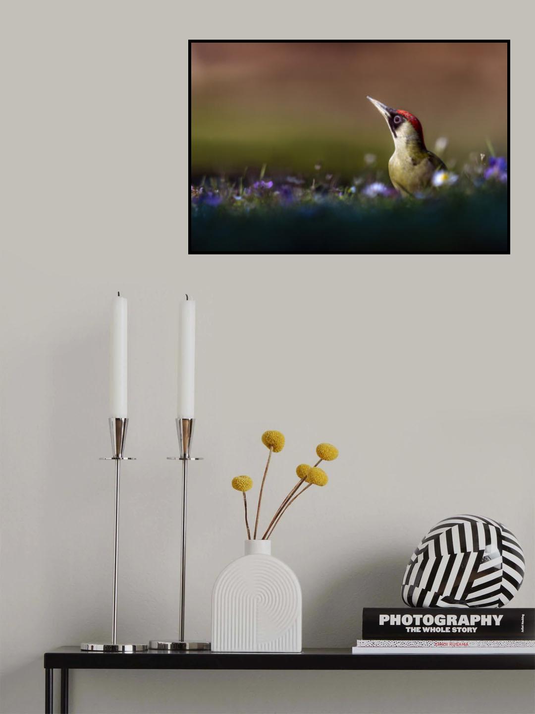 The lady woodpecker in the sun Poster och Canvastavla